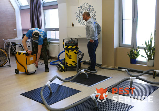 Профессиональная сушка после потопа в Ульяновске от 3000 руб. Быстро устраняем влагу, предотвращаем плесень и повреждения. Современное оборудование и опытные специалисты. Безопасно и эффективно.